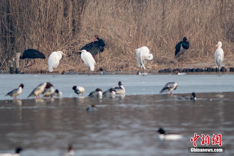 A popular restaurant chain announced plans to expand to 56 new locations across the country by the end of 2025