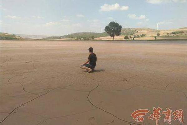 The government launched a program to help small businesses switch to renewable energy