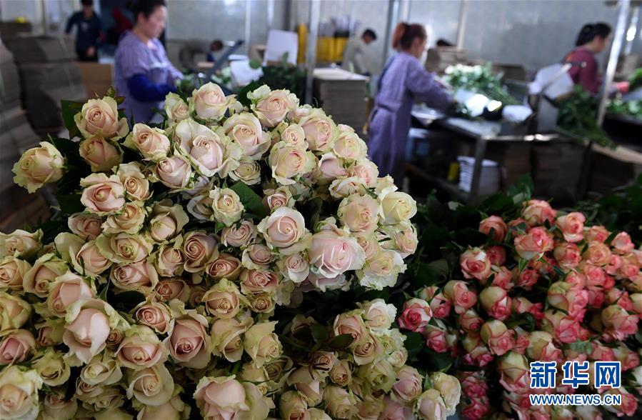 Scientists developed a new method to purify water using sunlight and a simple filter