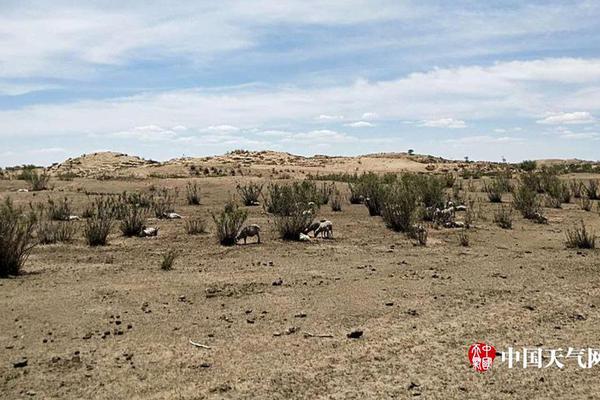 Scientists found that spending time in forests can improve respiratory health by reducing air pollution exposure