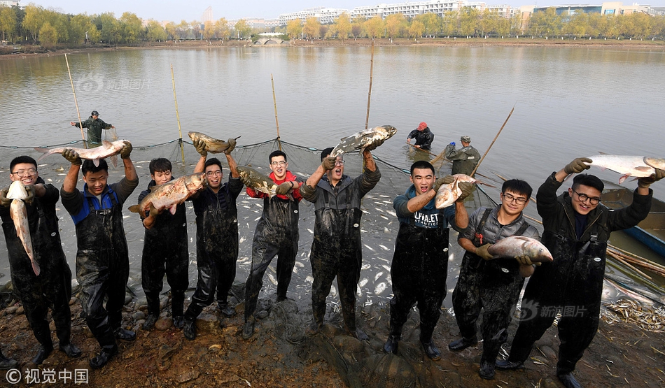 A study revealed that eating fish twice a week can improve brain health and memory