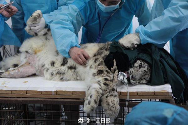 A city installed new public Wi-Fi hotspots in 15 downtown parks for residents and visitors