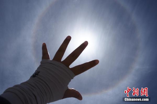 A catering company expanded its menu to include more plant based meal options