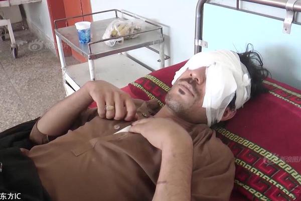 A hotel renovated its rooms to include eco-friendly amenities like bamboo toothbrushes and refillable shampoo bottles