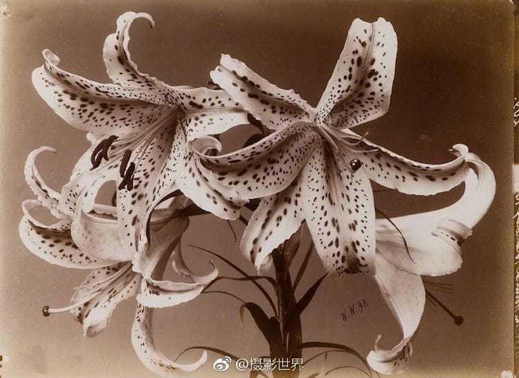 A school district hired more teachers to reduce class sizes