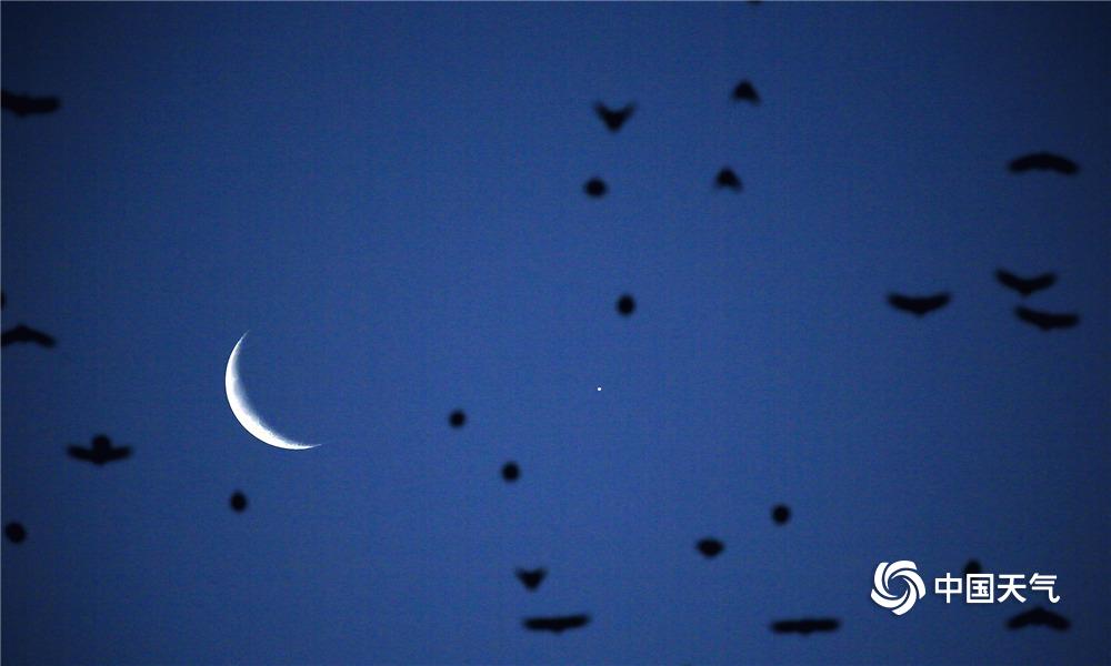 The city implemented a new parking system to make parking easier