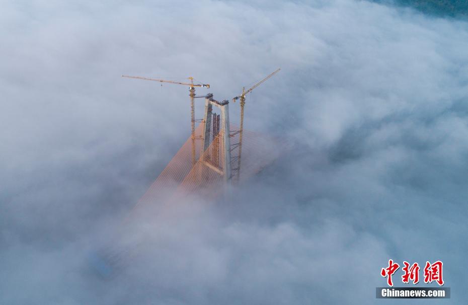 A scientist published a study showing that urban green spaces can lower air pollution levels