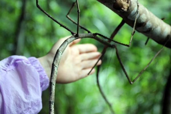 A construction project to build a new elementary school is two months ahead of schedule and under budget