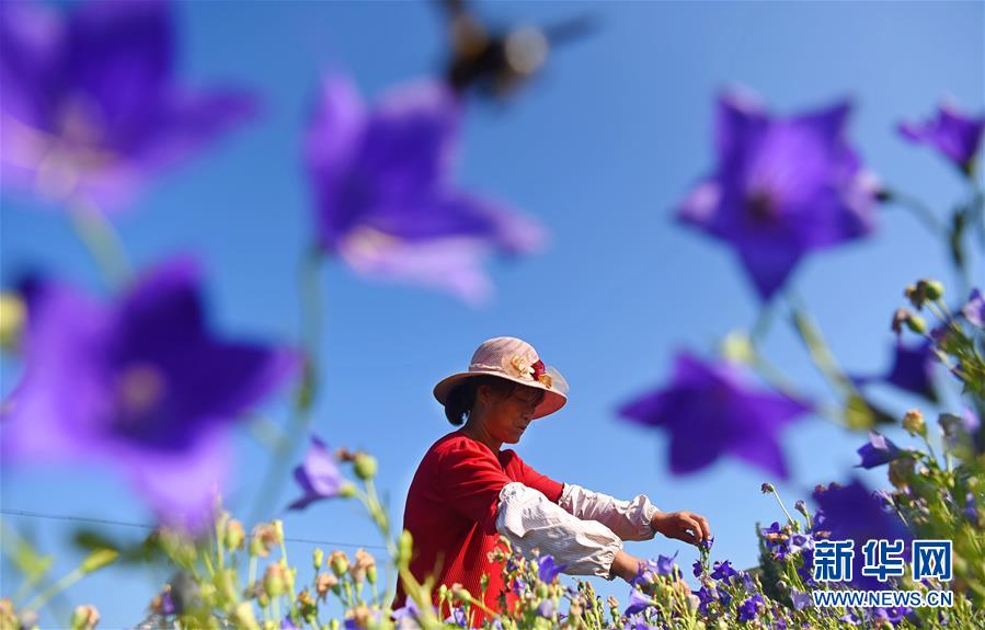 Motorcycle show features latest models from leading brands