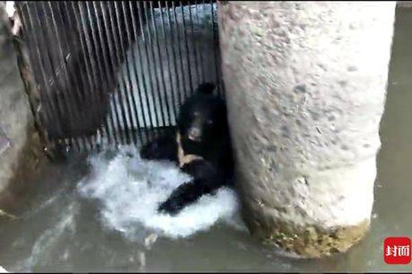 A small plane crashed in a wooded area outside the city; the pilot was injured but survived, and an investigation is underway.