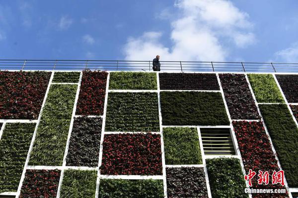 Local police reported a 20% rise in community safety initiatives over the past year