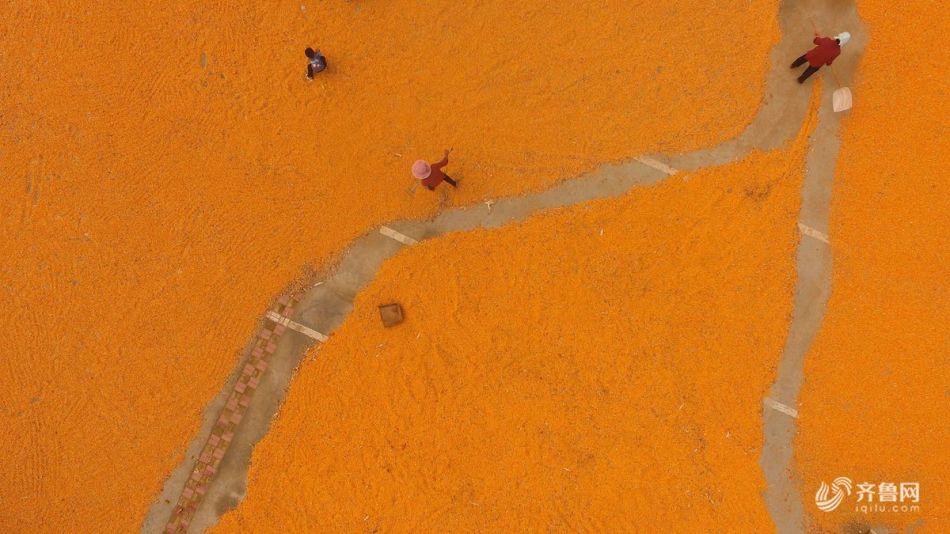 Archaeologists found evidence of an ancient civilization in a cave system