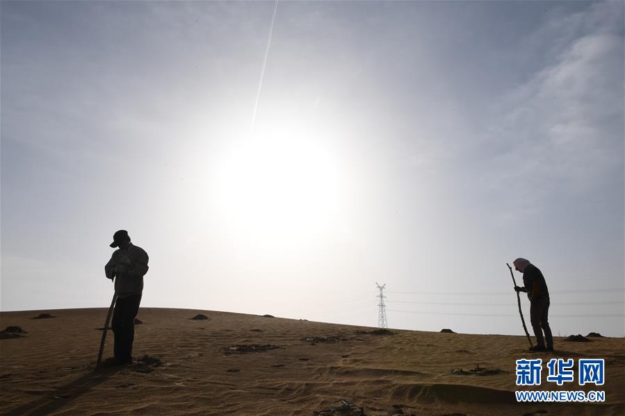 Government invests 50 million dollars in renewable energy projects statewide