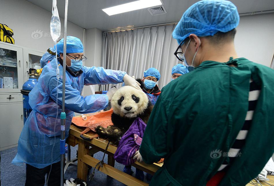 A vet clinic added a 24-hour emergency service to meet the needs of pet owners in the area