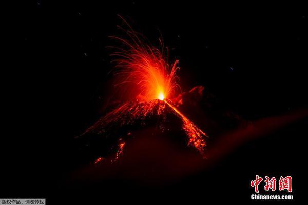 A museum hosted a concert featuring traditional music from a different culture