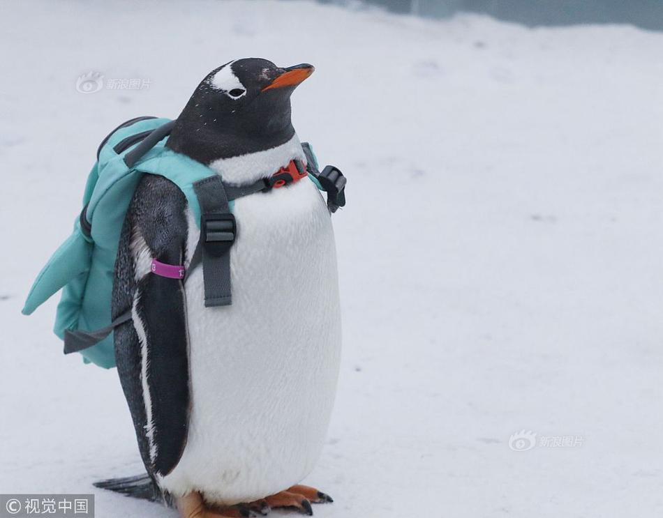 A new study revealed that spending time with friends can reduce stress levels