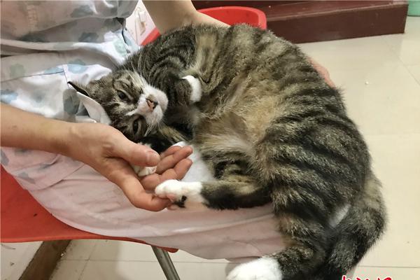 Researchers published a study showing that regular exercise can lower the risk of heart disease by up to 30%.