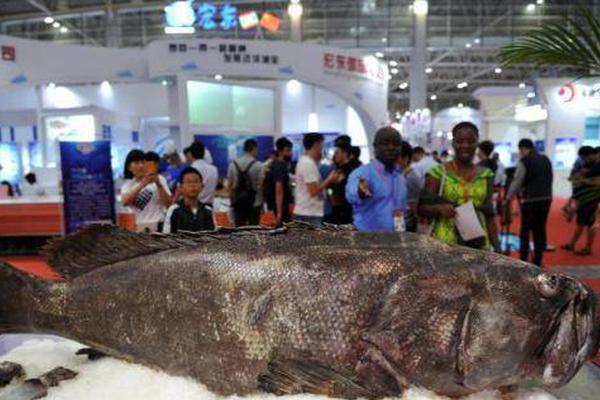 Scientists found that a certain type of plant can be used to treat skin conditions naturally