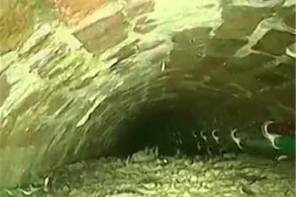 Local schools started using reusable water bottles to reduce plastic waste