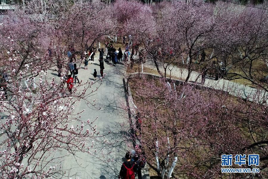 Scientists reported that coral reefs in protected areas are recovering faster than expected