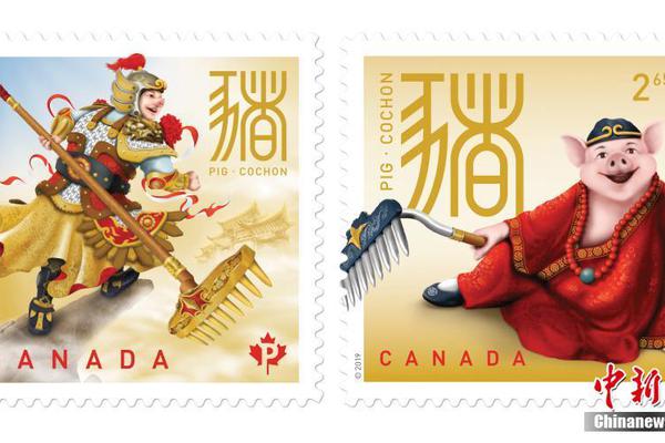 Local elementary school installs solar panels to reduce energy costs