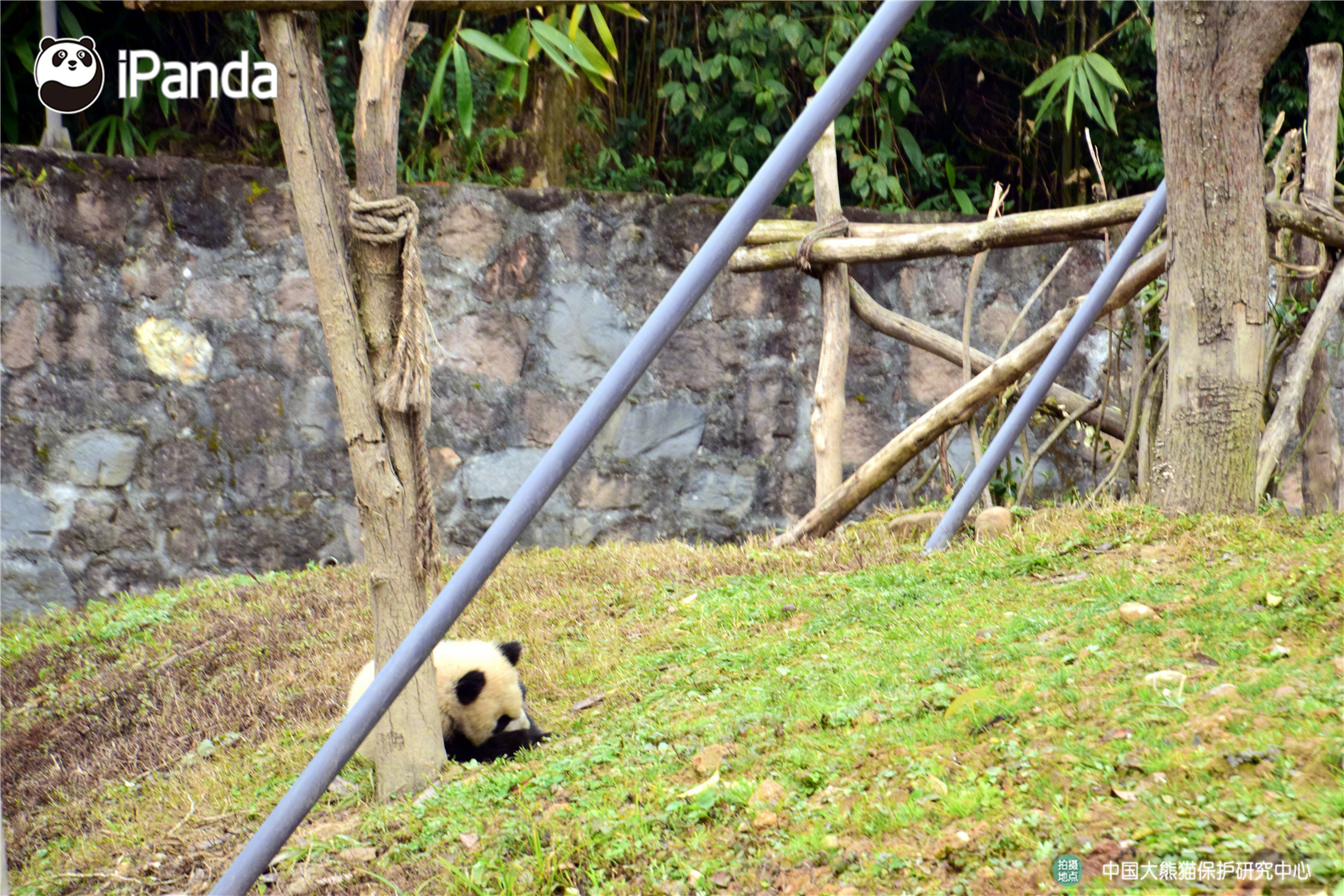 Research finds that playing board games improves problem solving skills in children