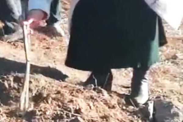 Research shows that spending time in nature lowers blood pressure