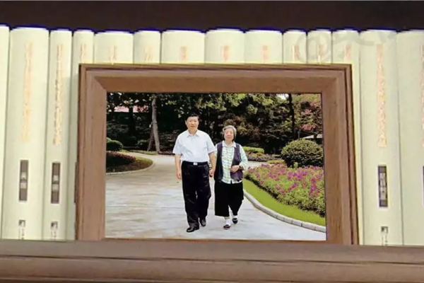 A study revealed that eating fish regularly can improve brain health and memory