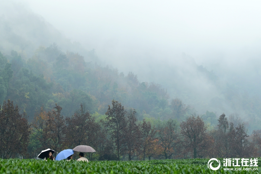 A tech company said it will release a new smartphone with a foldable screen set to hit stores next quarter