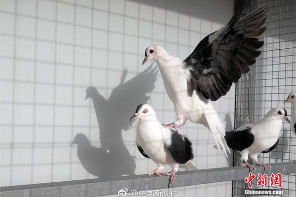 A charity launched a program to teach digital skills to senior citizens