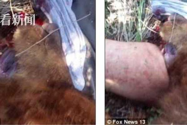 Clothing brand releases limited edition line made from recycled fishing nets