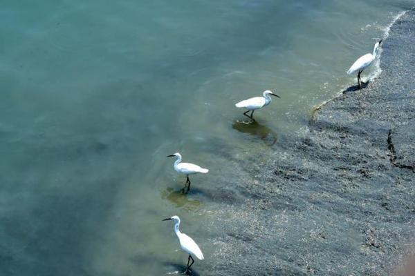 Local police solved a 10-year-old cold case using new DNA technology