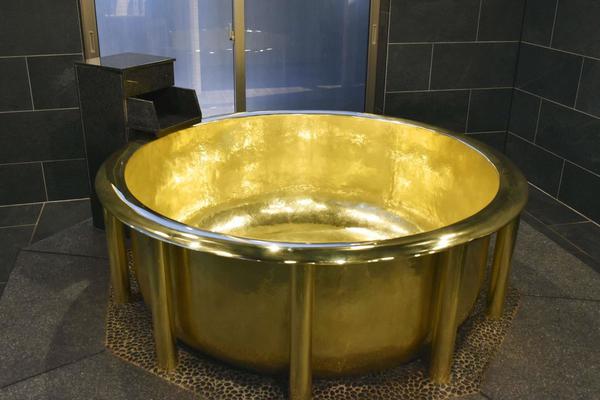 The government announced plans to upgrade public restrooms in parks and transportation hubs