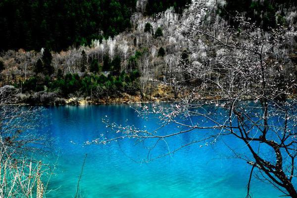 A museum hosted a lecture by a renowned archaeologist about recent discoveries in ancient ruins