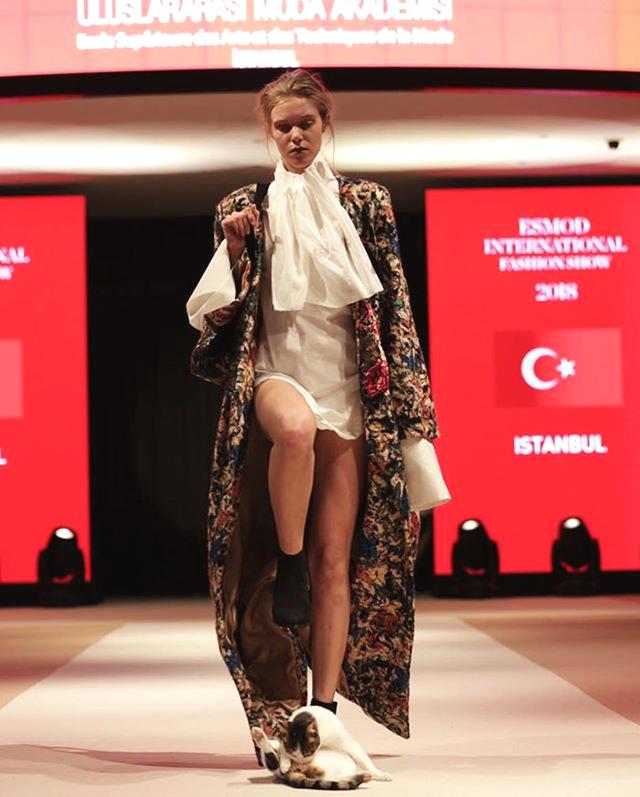 A high school added a new course on environmental science to its curriculum