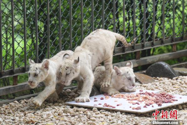 A bakery introduced a line of low-sugar pastries, including muffins and scones, for health-conscious customers