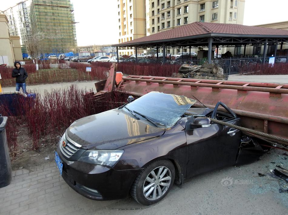 Newspaper reports on increase in small business startups in the area