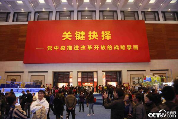 Animal rescue group transports injured wildlife to rehabilitation center