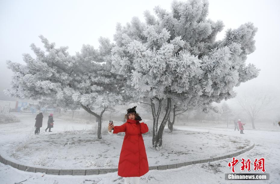 A study published in a top medical journal found daily exercise can boost mental health by reducing anxiety and depression symptoms