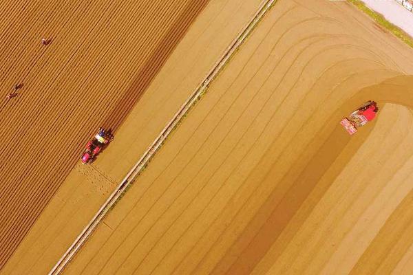 Pet sitting service offers overnight care for pets while owners travel