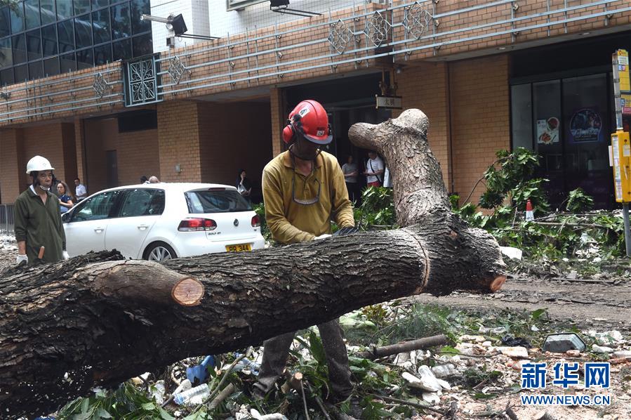 A hurricane caused extensive damage to homes and businesses along the Gulf Coast