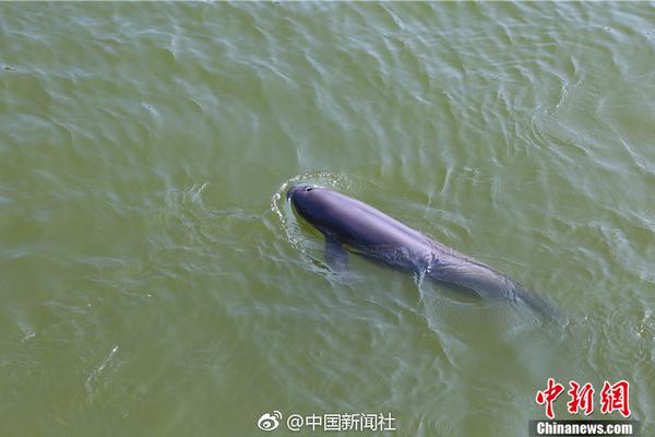 Local government plants 5000 native trees to restore habitat for endangered birds
