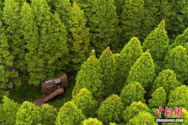 A tech company released software that helps small businesses manage online payments