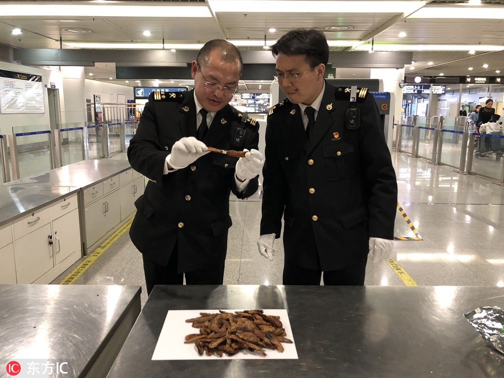 Library offers free access to online language learning tools