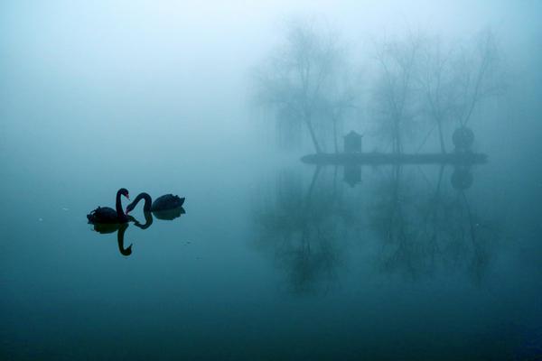 A social media platform banned certain types of content to promote safety