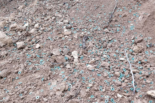 Scientists discovered a new source of renewable energy in the desert