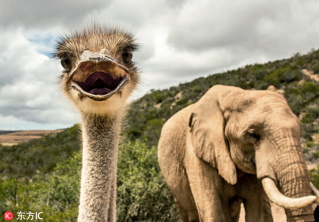 A tech startup partnered with a major retailer to sell its products in physical stores