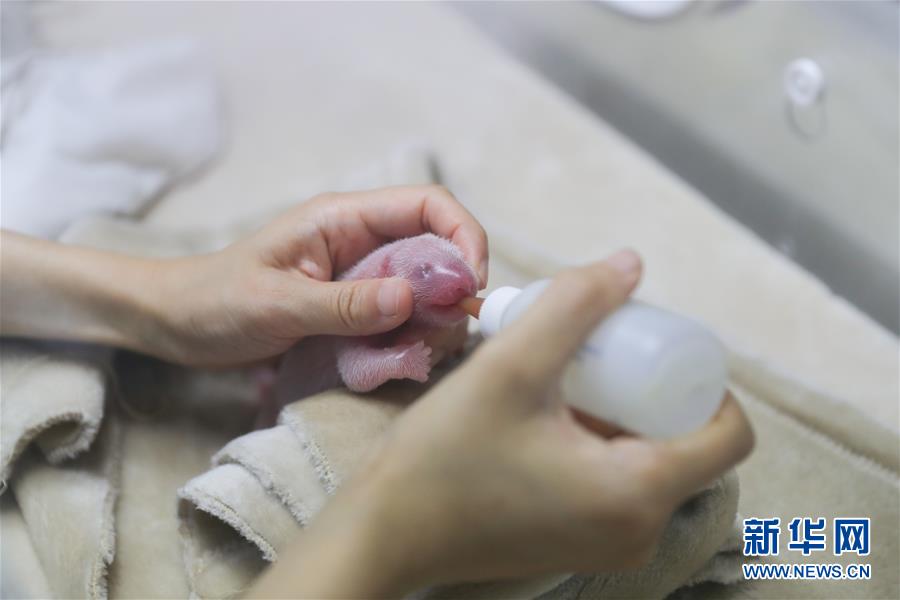 Doctors developed a new cream that reduces pain and swelling from arthritis