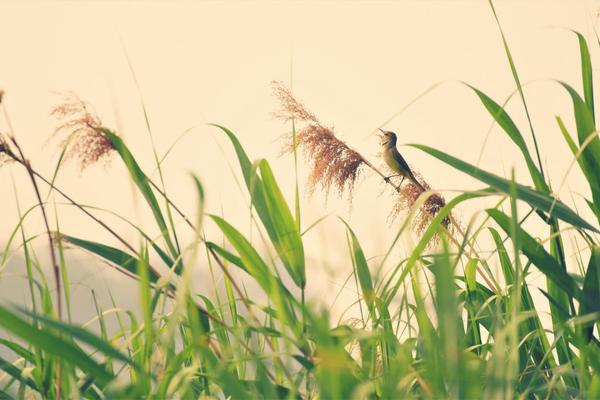 A fashion boutique started selling handmade jewelry created by local artisans