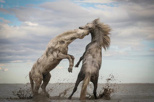 A software company offered free online training courses to help small business owners learn to use its products